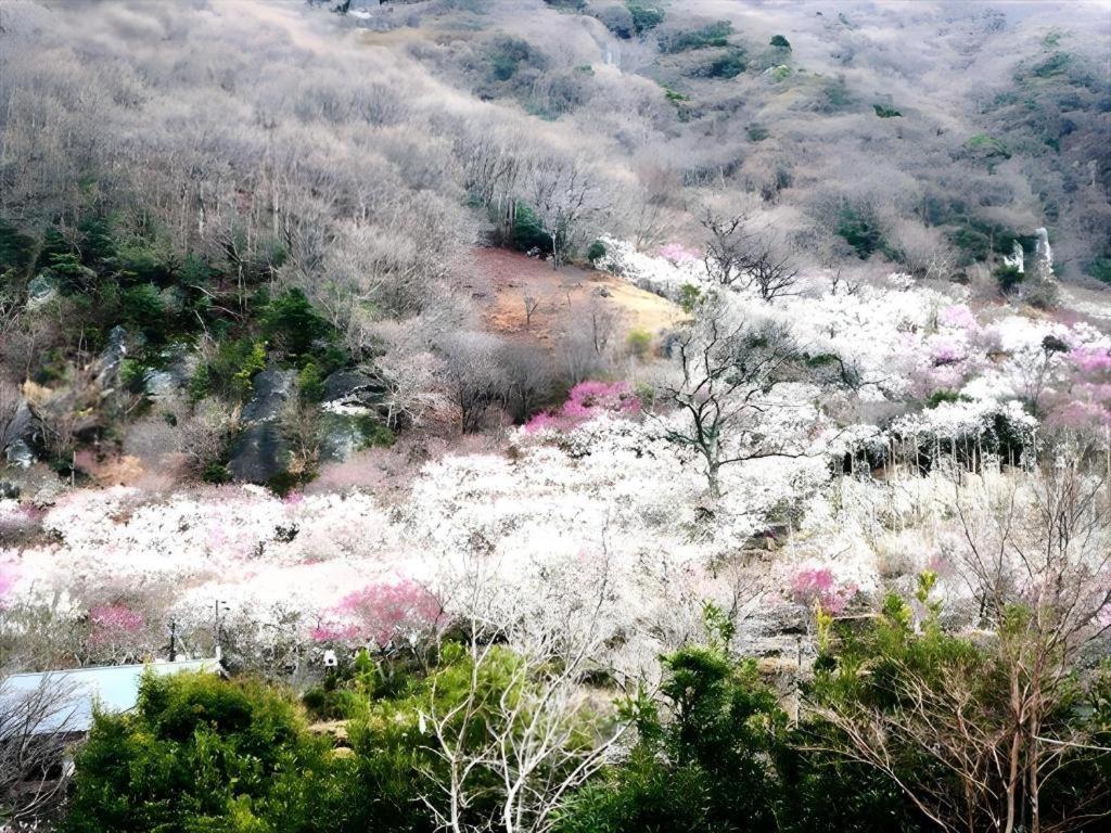 Corredor Yugawara Dog＆Resort Atami  Exteriér fotografie